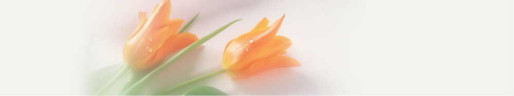 ホテルギフト券のご案内