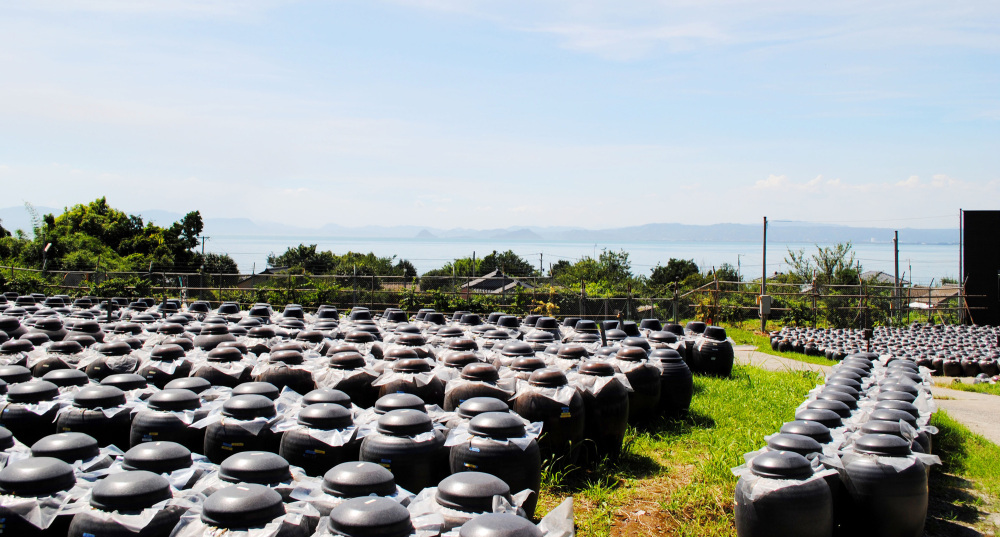 鹿児島観光モデルコース~桜島と黒酢の郷 福山町~ SHIROYAMAコンシェルジュおすすめ