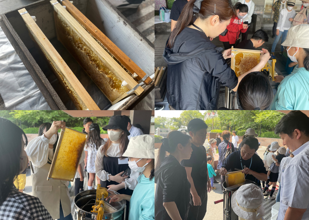 【城山の森みつばちプロジェクト2023】について