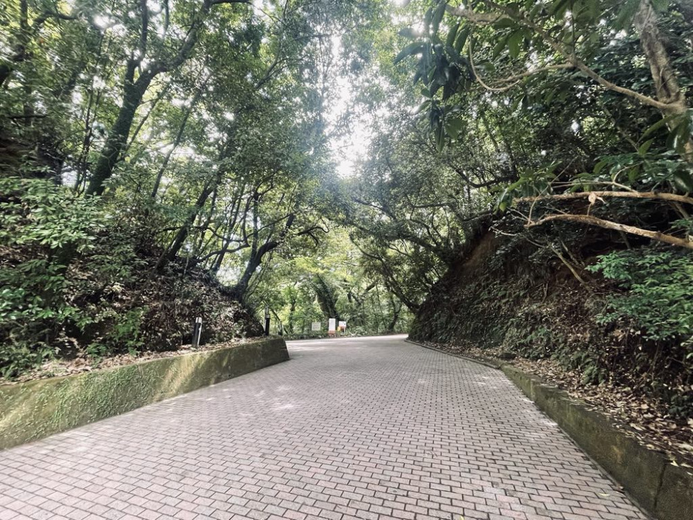 「山城・城山が面白い!」連載開始