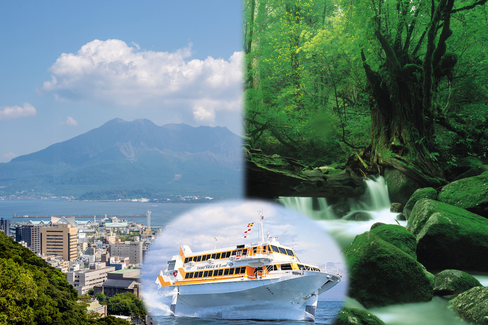 SHIROYAMA×IWASAKIが紡ぐ癒しのゆとり旅。桜島を望む特等席から世界遺産屋久島へ、五感を満たすプレミアムジャーニー【3日間・4日間】